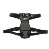 Coastal Walk Right! Front-Connect No-Pull Padded Dog Harness