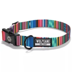 Coastal Wolfgang Quetzal Adjustable Dog Collar