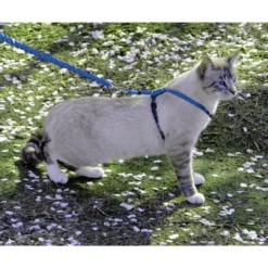 PetSafe Come With Me Kitty™ Cat Harness & Bungee Leash, Blue -Garden Supplies Sales 2024 mazy cwmk crouch royal hrcrop 75391.1648751388