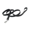 Coastal Circle T Oak Tanned Leather Dog Leash 1", 6ft, Black 2 Coastal Circle T Oak Tanned Leather Dog Leash 1", 6ft, Black -Garden Supplies Sales 2024 mfbb9t9xjgqro4dlwikj 29613.1629673119