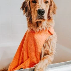 Tall Tails Orange Cape Dog Towel -Garden Supplies Sales 2024 mobythegoldy 2 38543.1665863323