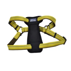 Coastal K9 Explorer Reflective Adjustable Padded Dog Harness, 1" X 20"-30"