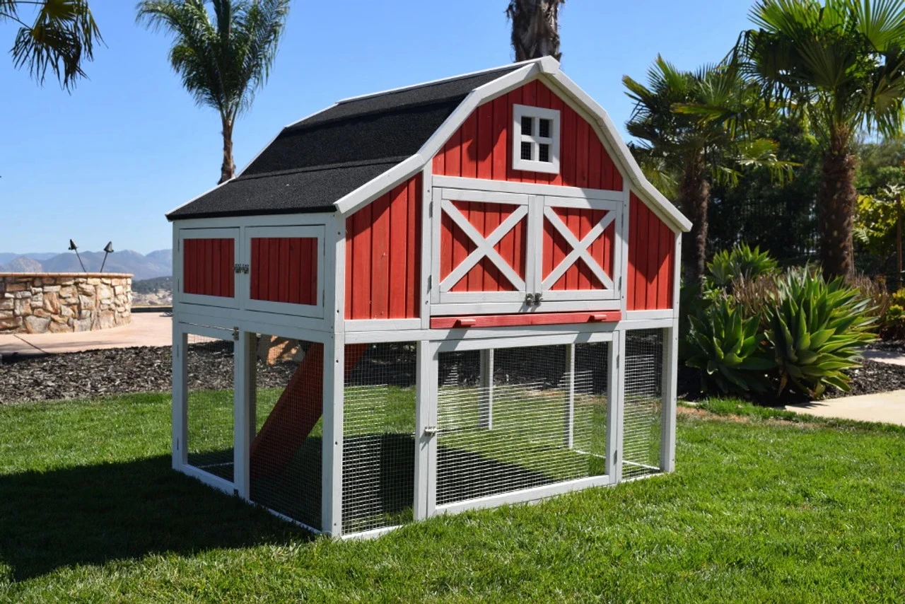 Rugged Ranch Omaha Red Chicken Coop 3 Rugged Ranch Omaha Red Chicken Coop