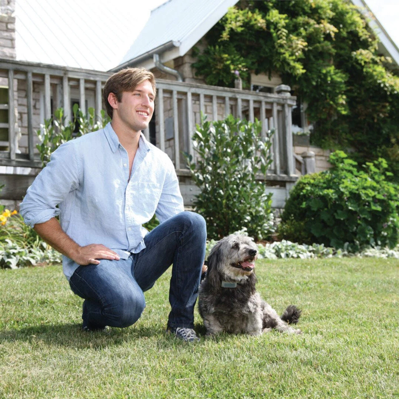 PetSafe Ultrasonic Bark Control Collar 5 PetSafe Ultrasonic Bark Control Collar - Image 3