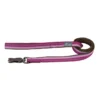 Coastal K9 Explorer Reflective Dog Leash With Scissor Snap, 1" X 6'