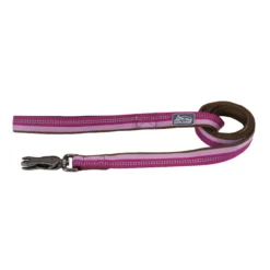 Coastal K9 Explorer Reflective Dog Leash With Scissor Snap, 5/8" X 6'