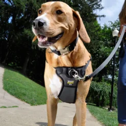 Coastal Walk Right! Front-Connect No-Pull Padded Dog Harness 8 Coastal Walk Right! Front-Connect No-Pull Padded Dog Harness -Garden Supplies Sales 2024 pcdmhx57v1bxpotpyidg 23583.1630006813