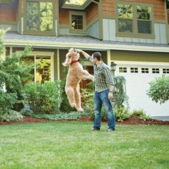 PetSafe Wireless Pet Containment System Receiver Collar -Garden Supplies Sales 2024 pif 300 e 2 1 92768.1650132916