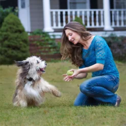 PetSafe Stay & Play® Wireless Fence Rechargeable Receiver Collar -Garden Supplies Sales 2024 pif00 12917 e 3 25512.1648407323