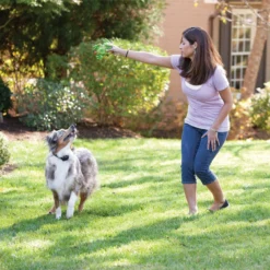 PetSafe YardMax® Rechargeable In-Ground Fence™ Receiver Collar -Garden Supplies Sales 2024 pig00 11116 e 60194.1648340806