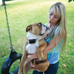 PetSafe Stubborn Dog In-Ground Fence™ Receiver Collar -Garden Supplies Sales 2024 prf 275 19 e2 25293.1649900956