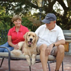 PetSafe Deluxe UltraLight™ Receiver Collar -Garden Supplies Sales 2024 pul 275 e 34174.1650133236