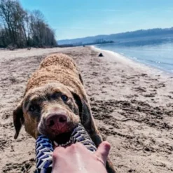 Tall Tails Braided Ring Navy, 6in -Garden Supplies Sales 2024 ragnarthechessie 61 27683.1665881764