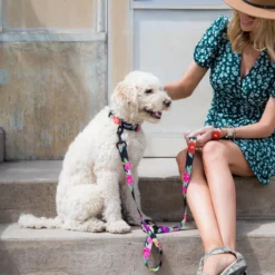 Coastal Wolfgang DarkFloral Dog Collar -Garden Supplies Sales 2024 sajpmqsl85w0m8xprdsk 34781.1674939719