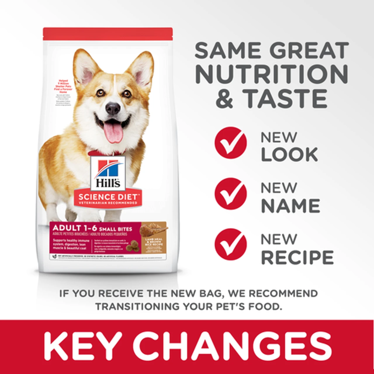 Science Diet Adult Small Bites Lamb & Rice, 4.5lb 6 Science Diet Adult Small Bites Lamb & Rice, 4.5lb - Image 4