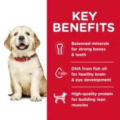 Science Diet Puppy Large Breed Chicken & Oat -Garden Supplies Sales 2024 sd canine puppy large breed dry productSpotlight1 500 72040.1613699797