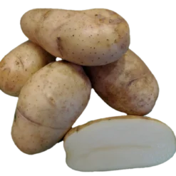 Shepody Seed Potato, 1lb