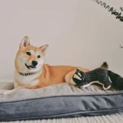 Tall Tails Cushion Bed Charcoal, Medium -Garden Supplies Sales 2024 shiba 7 19847.1665885124