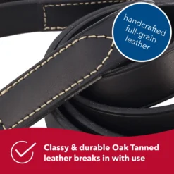 Coastal Circle T Oak Tanned Leather Dog Leash 3/4", 6ft, Black -Garden Supplies Sales 2024 tdjamlf7zdxhe1g6ica6 26192.1629672782