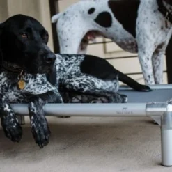 Tall Tails Elevated Mesh Cot Grey, Medium 9 Tall Tails Elevated Mesh Cot Grey, Medium -Garden Supplies Sales 2024 the good boys 51 1 65654.1665885539