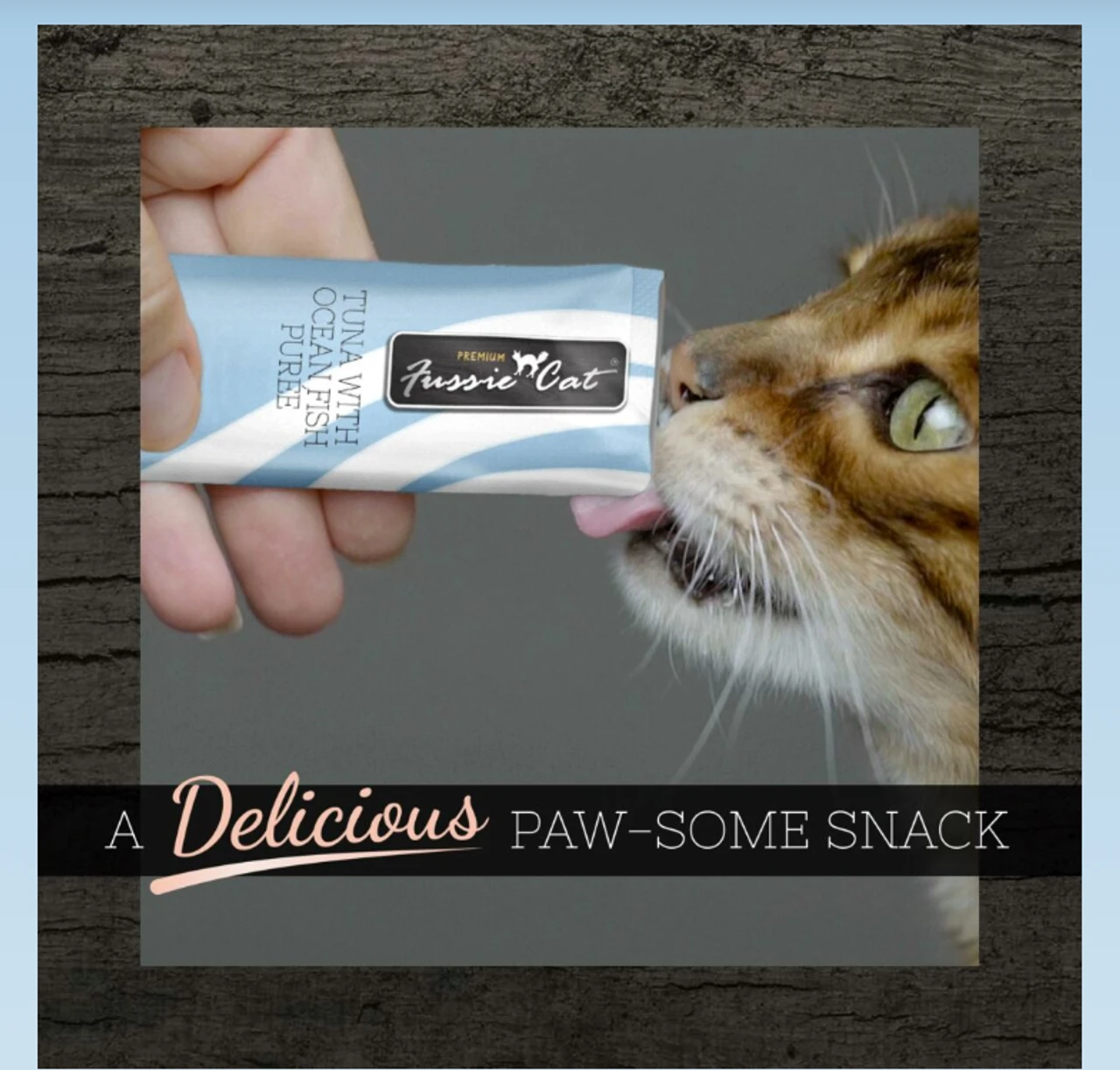 Fussie Cat Tuna/Ocean Fish, 4ct 5 Fussie Cat Tuna/Ocean Fish, 4ct - Image 3