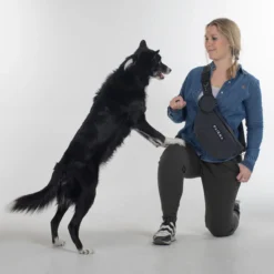 Paikka Visibility Treat Bag