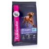 Eukanuba Large Breed Puppy, 33lb -Garden Supplies Sales 2024 usf5lhiedoolkancwubk 82617.1613935033