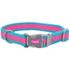 Coastal Pro Reflective Adjustable Dog Collar, Fuchsia With Teal, 1in X 20in 2 Coastal Pro Reflective Adjustable Dog Collar, Fuchsia With Teal, 1in X 20in -Garden Supplies Sales 2024 uxpojpdw9tok8l2ql5ft 98665.1630273977