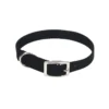 Coastal Single-Ply Dog Collar, 16in 1 Coastal Single-Ply Dog Collar, 16in -Garden Supplies Sales 2024 uytyuu05i5nmbj7idv2g 32183.1629572065