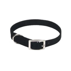 Coastal Single-Ply Dog Collar, 16in