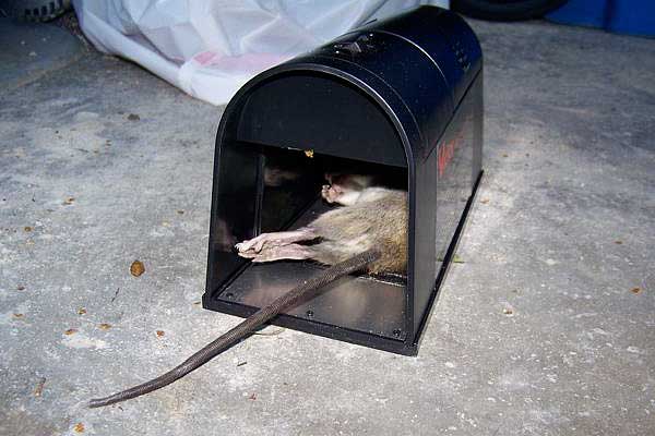 Front Page -Garden Supplies Sales 2024 victor electronic rat trap