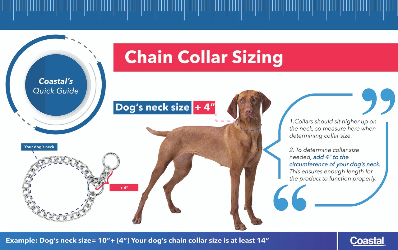 Coastal Titan Chain Training Dog Collar, 1.5 MM 5 Coastal Titan Chain Training Dog Collar, 1.5 MM - Image 3
