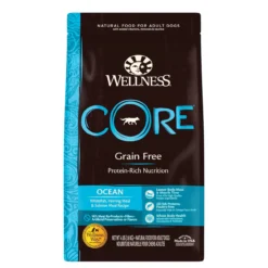 Wellness Core Ocean