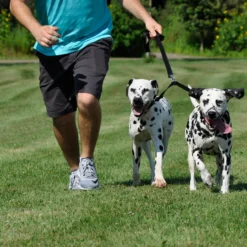 Coastal 2 Dog Adjustable Coupler 7 Coastal 2 Dog Adjustable Coupler -Garden Supplies Sales 2024 xnsmganhthvfkop0m1dd 89684.1629593001