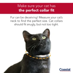 Coastal Snag-Proof Safety Cat Collar, 3/8in X 10in -Garden Supplies Sales 2024 ycl5w8eu6uduoisjt8wh 27801.1630261040