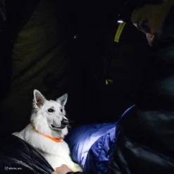 Coastal USB Light-Up Neck Ring -Garden Supplies Sales 2024 ziypuunwshypwnjvr02u 75369.1630273060